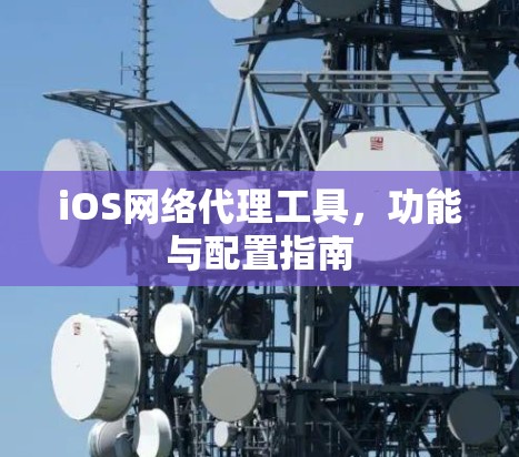 iOS网络代理工具，功能与配置指南