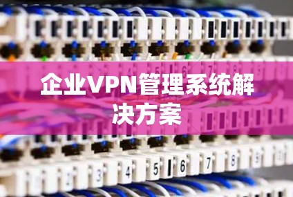 企业VPN管理系统解决方案