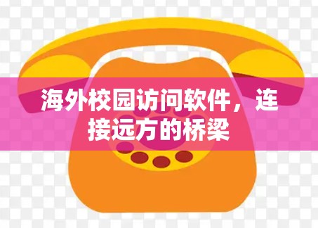 海外校园访问软件，连接远方的桥梁