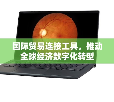 国际贸易连接工具，推动全球经济数字化转型
