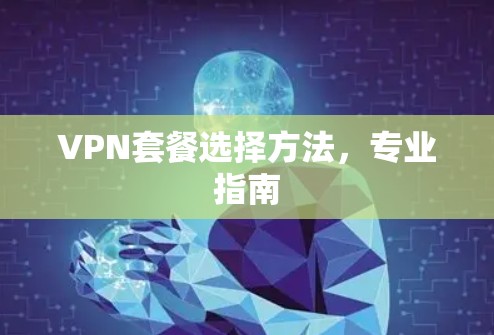 VPN套餐选择方法，专业指南