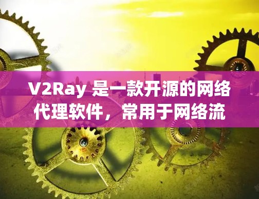 V2Ray 是一款开源的网络代理软件，常用于网络流量代理、防追踪、访问限制绕过等场景。以下是 V2Ray 的下载和安装指南