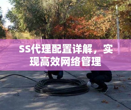 SS代理配置详解，实现高效网络管理