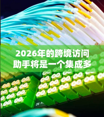 2026年的跨境访问助手将是一个集成多种先进技术的综合平台，旨在满足不同用户的跨境需求，提供高效、安全和合规的服务。以下是对2026跨境访问助手的详细分析