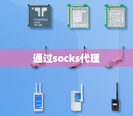 通过socks代理