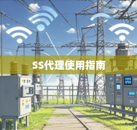 SS代理使用指南