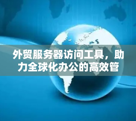 外贸服务器访问工具，助力全球化办公的高效管理