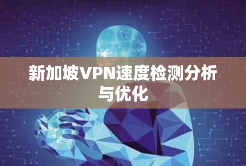 新加坡VPN速度检测分析与优化