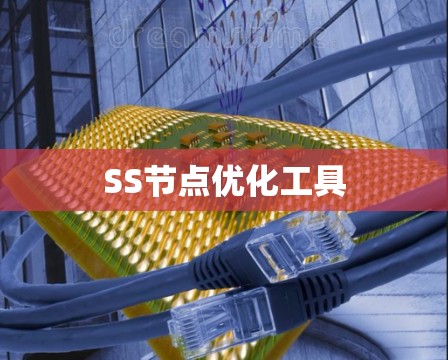 SS节点优化工具