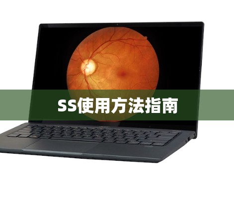 SS使用方法指南