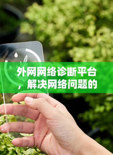 外网网络诊断平台，解决网络问题的高效解决方案