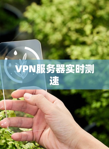 VPN服务器实时测速
