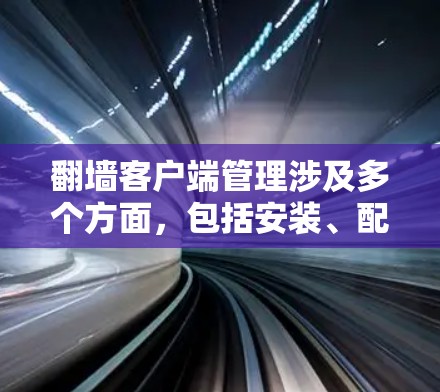 翻墙客户端管理涉及多个方面,包括安装、配置、权限管理、日志监控、安全防护以及故障排除等。以下是翻墙客户端管理的主要步骤和注意事项 翻墙客户端管理涉及多个方面,包括安装、配置、权限管理、日志监控、安全防护以及故障排除等。以下是翻墙客户端管理的主要步骤和注意事项