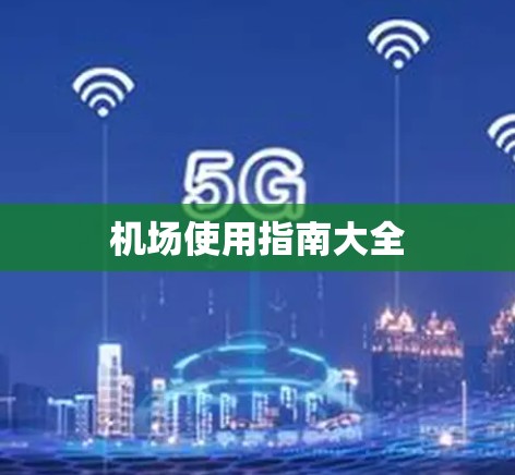 机场使用指南大全