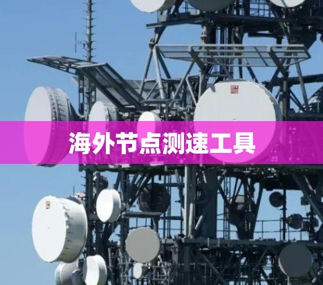 海外节点测速工具