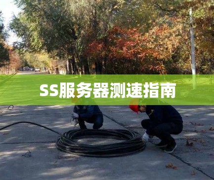 SS服务器测速指南