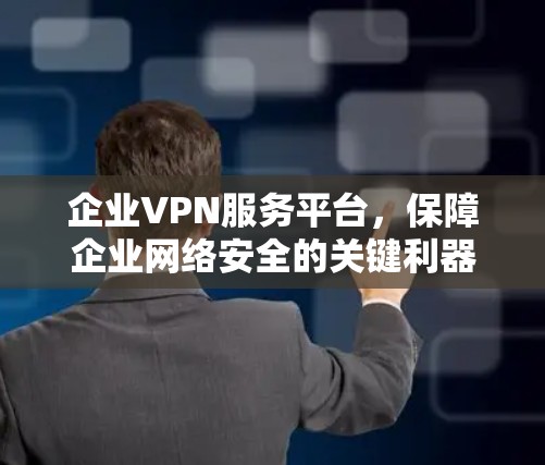 企业VPN服务平台，保障企业网络安全的关键利器