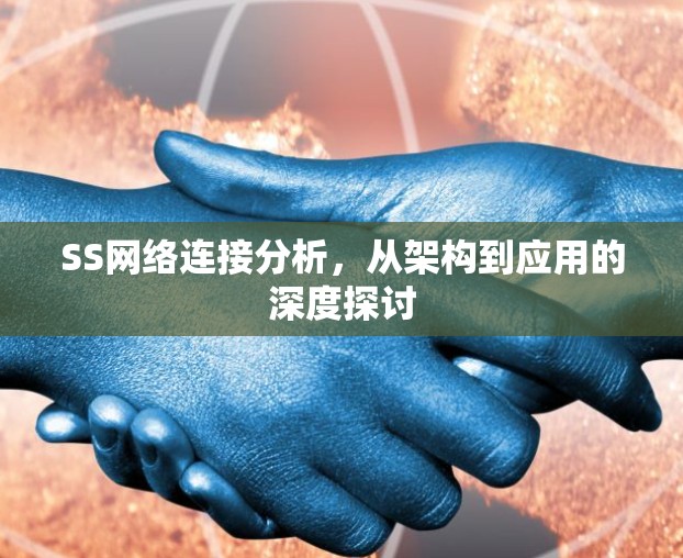 SS网络连接分析，从架构到应用的深度探讨