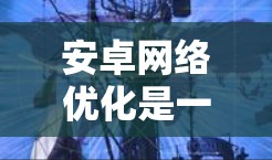 安卓网络优化是一个复杂但重要的任务，涉及到数据传输、连接管理、性能调优等多个方面。以下是一些常用的安卓网络优化方法和工具