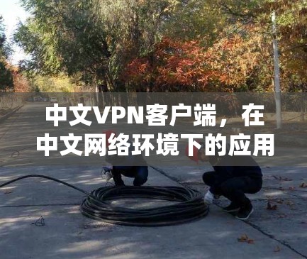 中文VPN客户端，在中文网络环境下的应用与优化