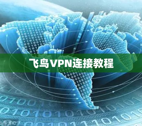 飞鸟VPN连接教程 飞鸟VPN连接教程