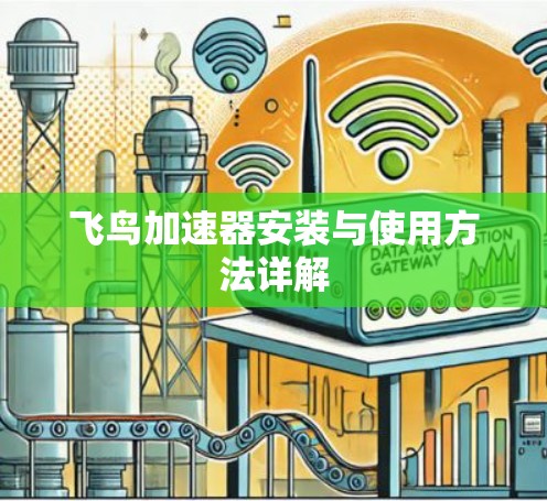飞鸟加速器安装与使用方法详解 飞鸟加速器安装与使用方法详解