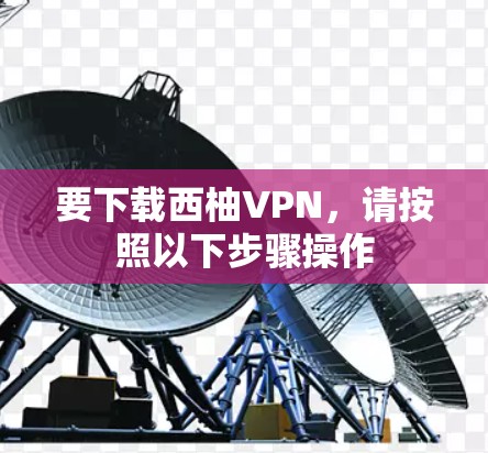 要下载西柚VPN，请按照以下步骤操作
