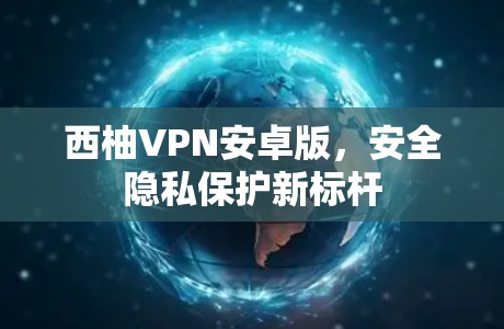 西柚VPN安卓版，安全隐私保护新标杆