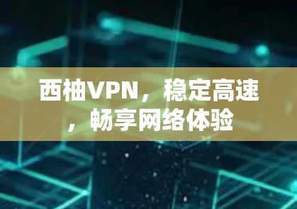 西柚VPN，稳定高速，畅享网络体验
