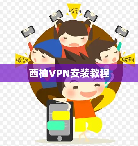 西柚VPN安装教程