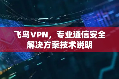 飞鸟VPN,专业通信安全解决方案技术说明 飞鸟VPN,专业通信安全解决方案技术说明