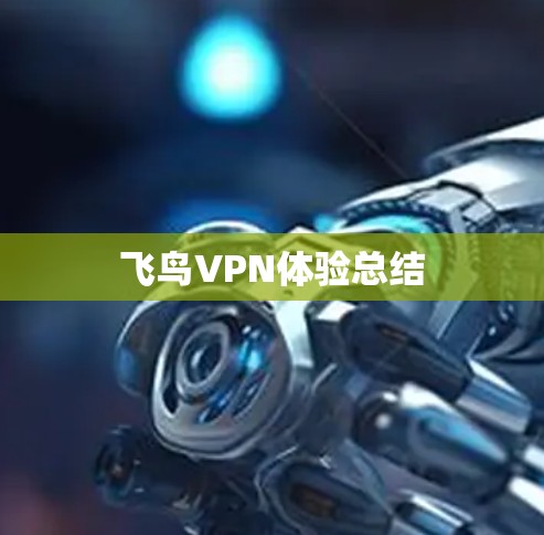 飞鸟VPN体验总结 飞鸟VPN体验总结