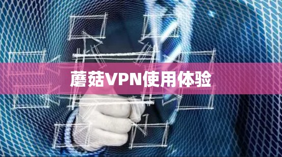蘑菇VPN使用体验