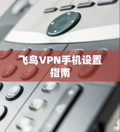 飞鸟VPN手机设置指南 飞鸟VPN手机设置指南