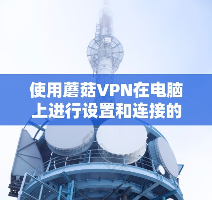 使用蘑菇VPN在电脑上进行设置和连接的步骤如下 使用蘑菇VPN在电脑上进行设置和连接的步骤如下