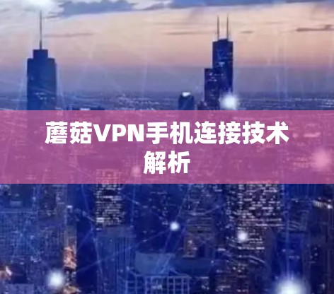 蘑菇VPN手机连接技术解析