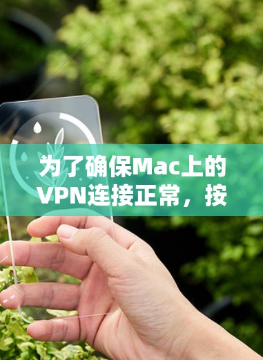 为了确保Mac上的VPN连接正常，按照以下步骤进行测试