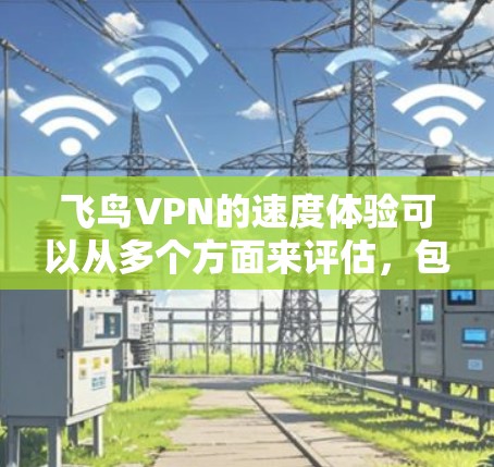 飞鸟VPN的速度体验可以从多个方面来评估，包括下载和上传速度、服务器覆盖范围、多设备连接能力以及会员服务质量等。以下是一些详细的分析和体验分享