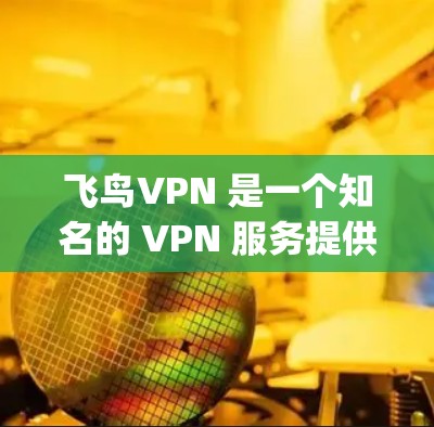 飞鸟VPN 是一个知名的 VPN 服务提供商，用户可以通过手机应用 store（如 Google Play 或 Apple App Store）下载和安装。以下是获取飞鸟VPN手机客户端的步骤