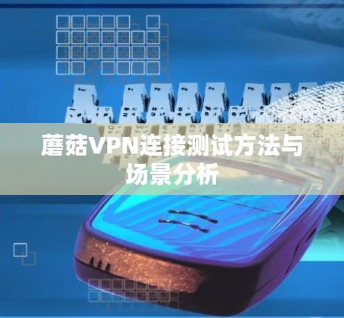 蘑菇VPN连接测试方法与场景分析