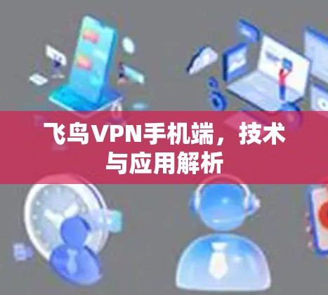飞鸟VPN手机端，技术与应用解析