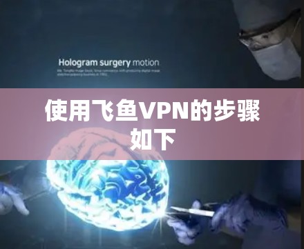使用飞鱼VPN的步骤如下
