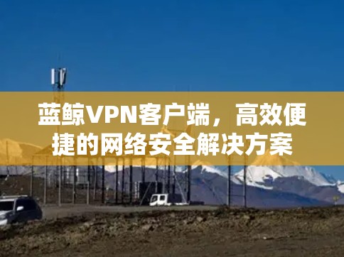 蓝鲸VPN客户端，高效便捷的网络安全解决方案