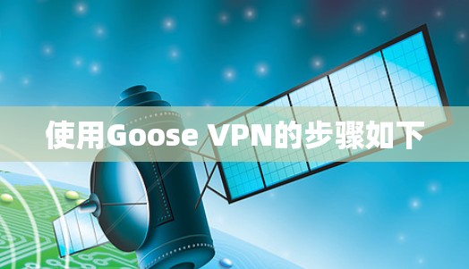 使用Goose VPN的步骤如下 使用Goose VPN的步骤如下