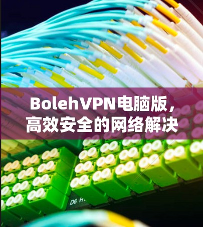 BolehVPN电脑版，高效安全的网络解决方案