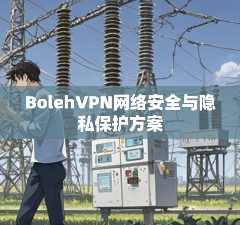BolehVPN网络安全与隐私保护方案