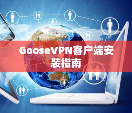 GooseVPN客户端安装指南