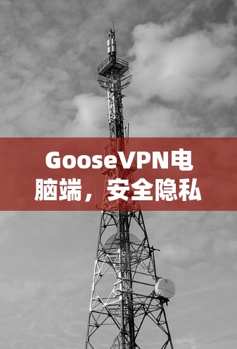 GooseVPN电脑端,安全隐私保护的专业选择 GooseVPN电脑端,安全隐私保护的专业选择
