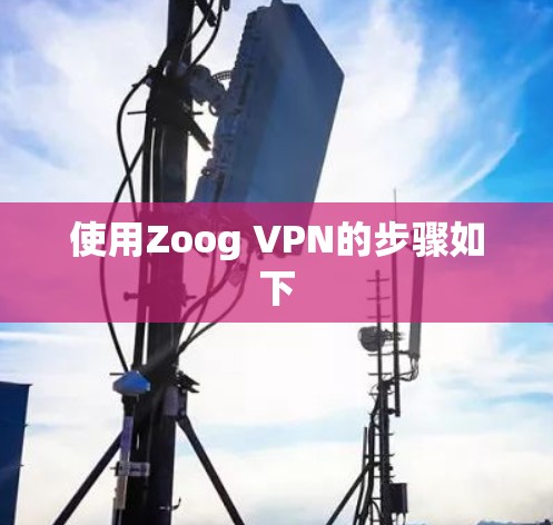 使用Zoog VPN的步骤如下 使用Zoog VPN的步骤如下