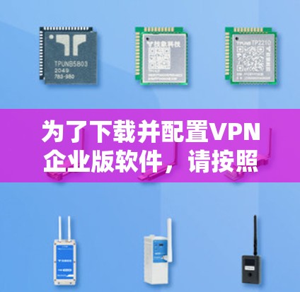 为了下载并配置VPN企业版软件，请按照以下步骤操作